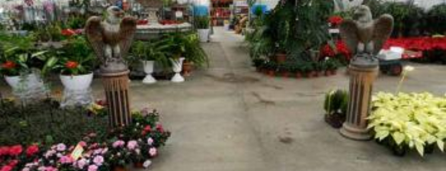 Espacio Verde Viveros (Eugenio Signes) - Imagen 3