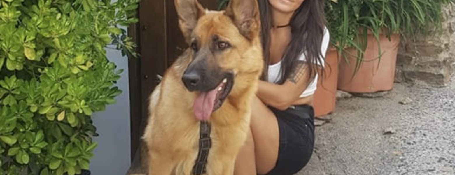 TRUFAS NEGRAS - Centro de bienestar animal - Imagen 3