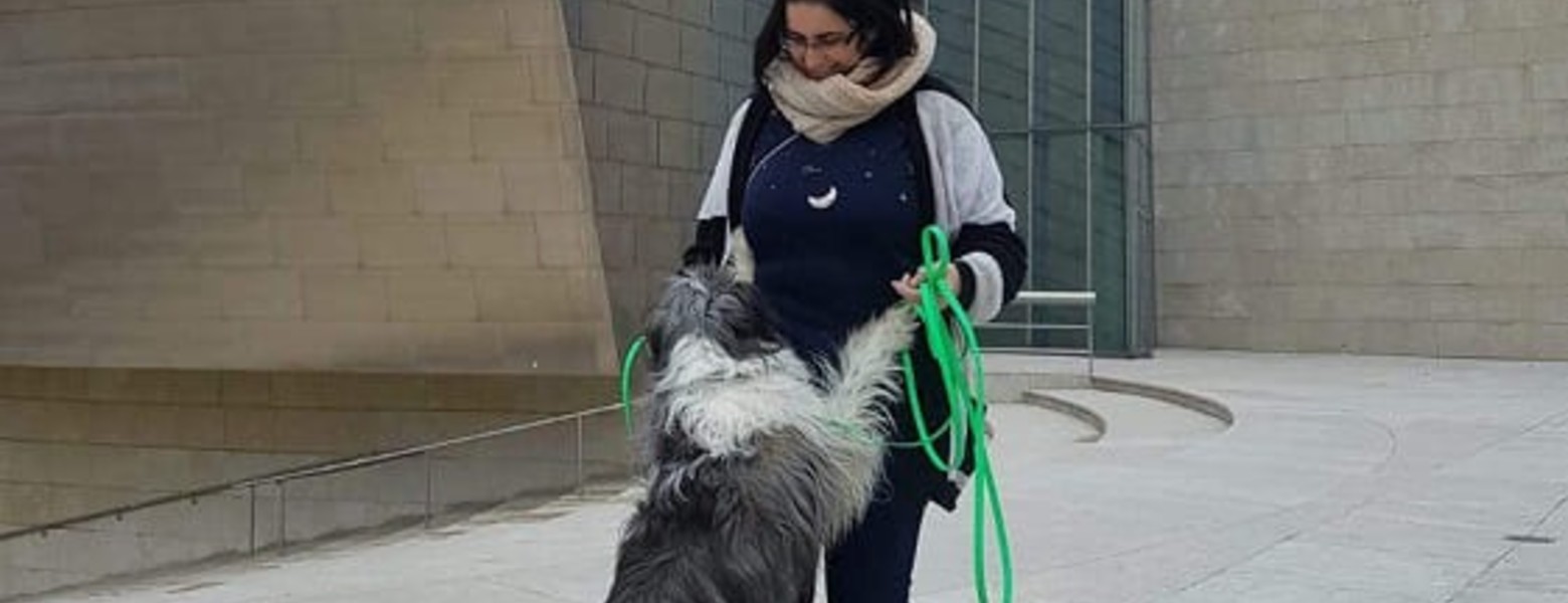 TRUFAS NEGRAS - Centro de bienestar animal - Imagen 4