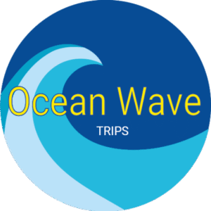 Logo de Ocean Wave Trips Benalmádena