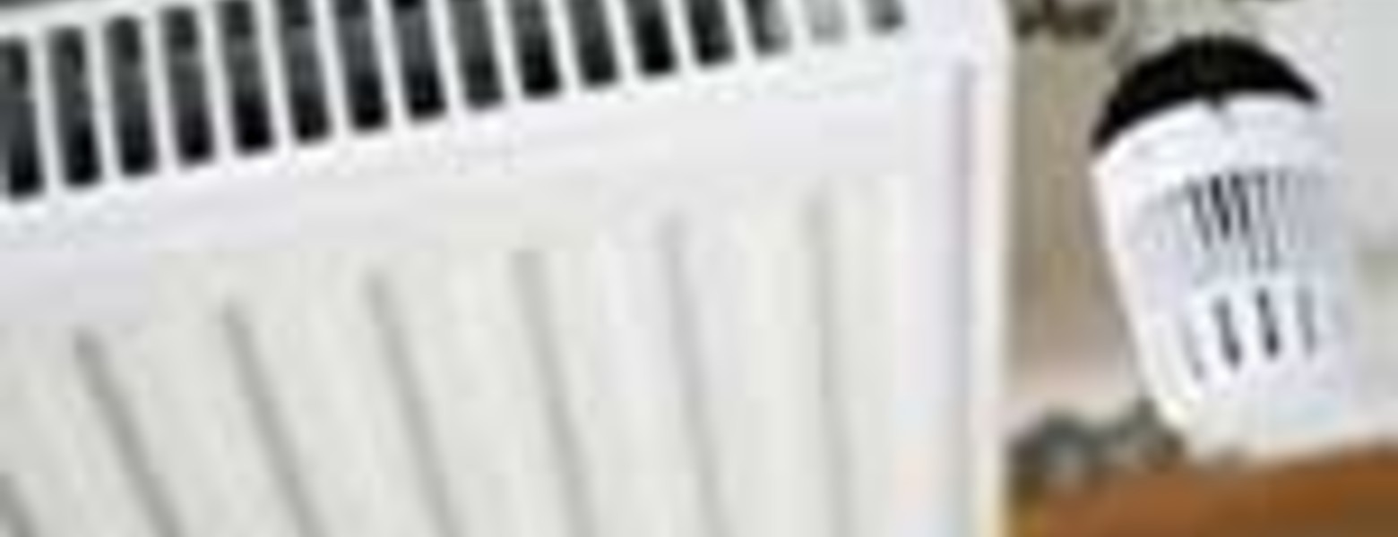 JyD Pascual S.L. - Imagen 5