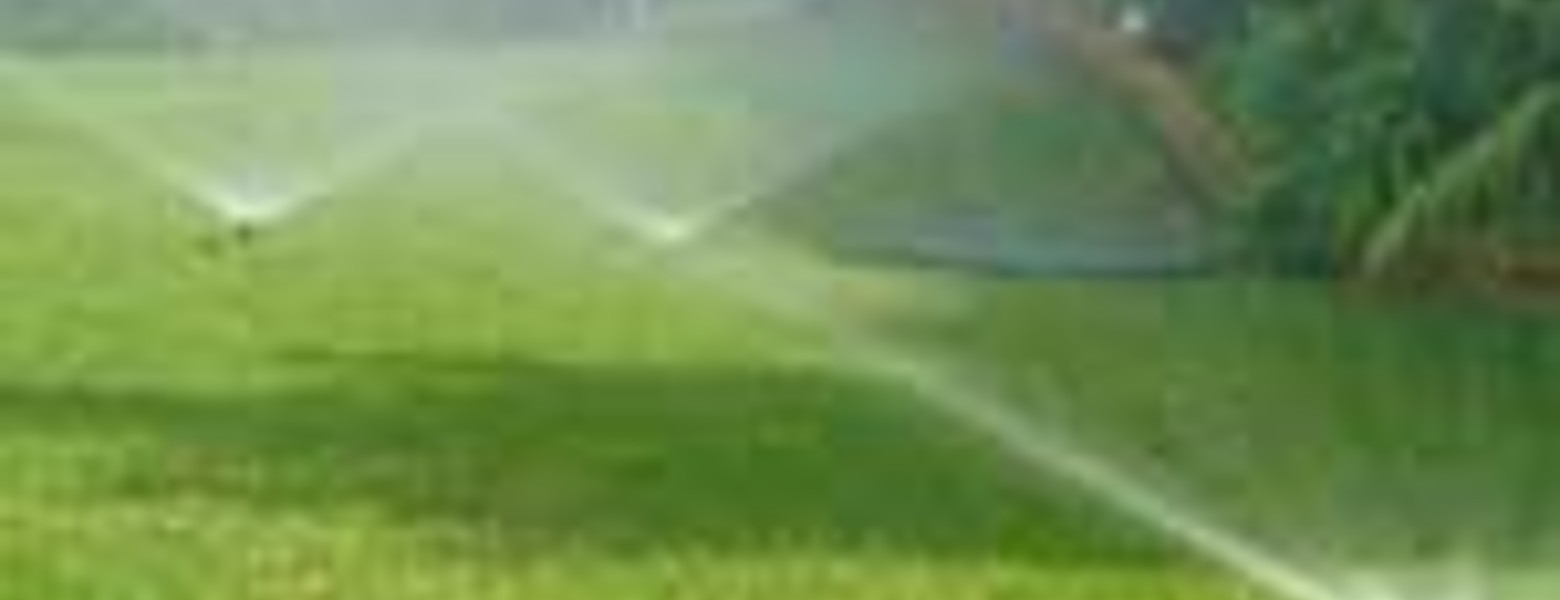 JyD Pascual S.L. - Imagen 2