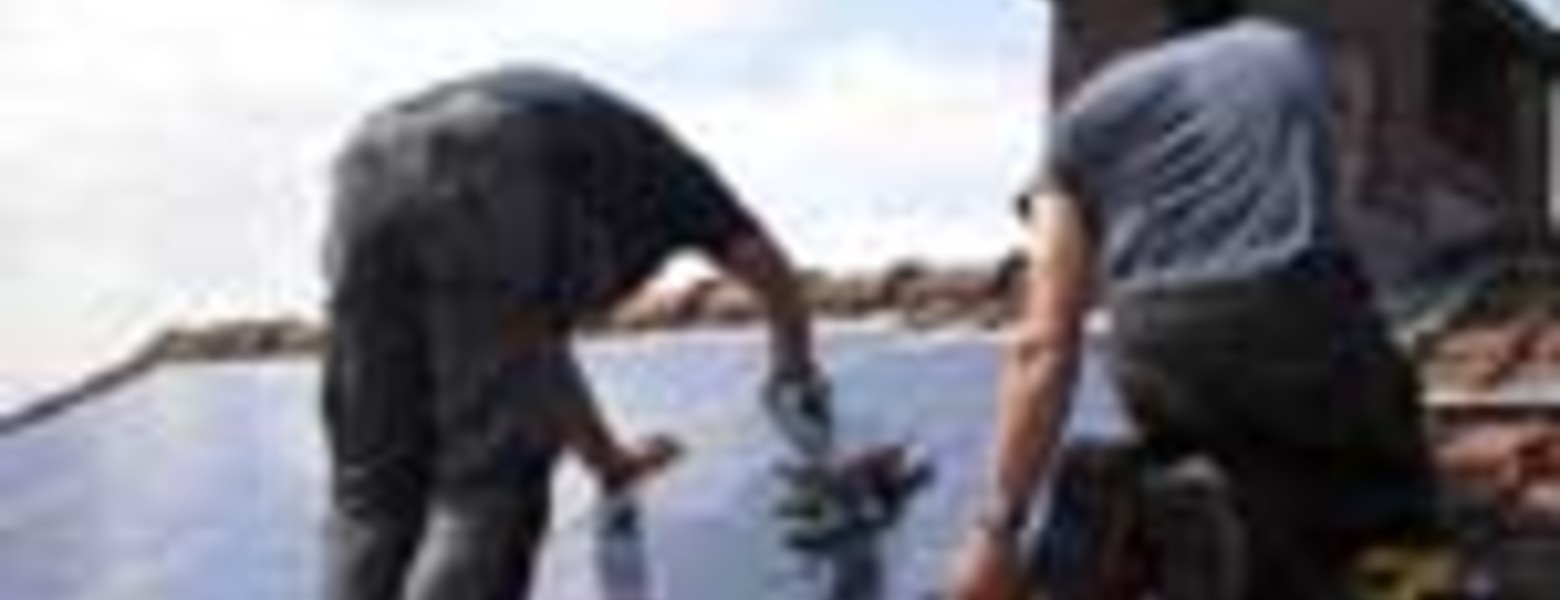 JyD Pascual S.L. - Imagen 3