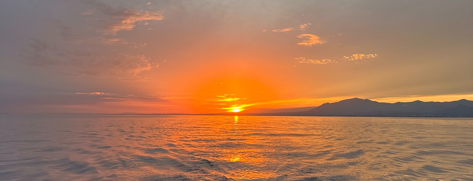 Ocean Wave Trips Benalmádena - Imagen 4