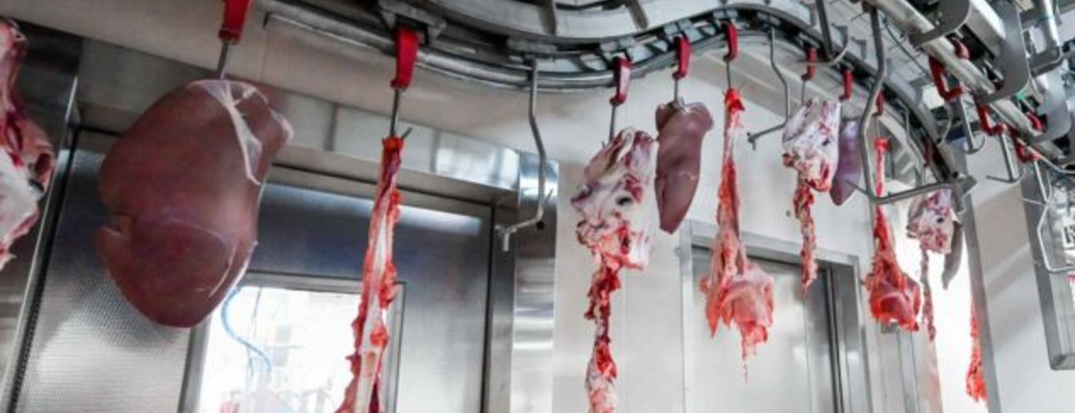 DEXA Soluciones - Maquinaria para Mataderos - Imagen 9