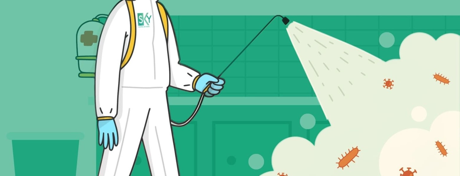 Sky Control de Plagas en Valencia - Imagen 1
