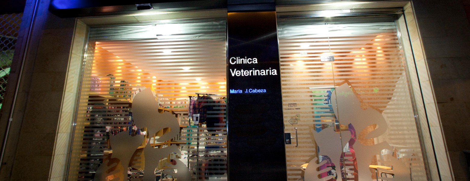 Clínica Veterinaria María J. Cabeza