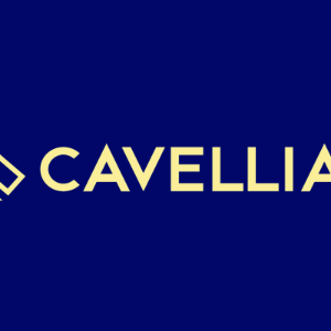 Logo de Cavellian SEO