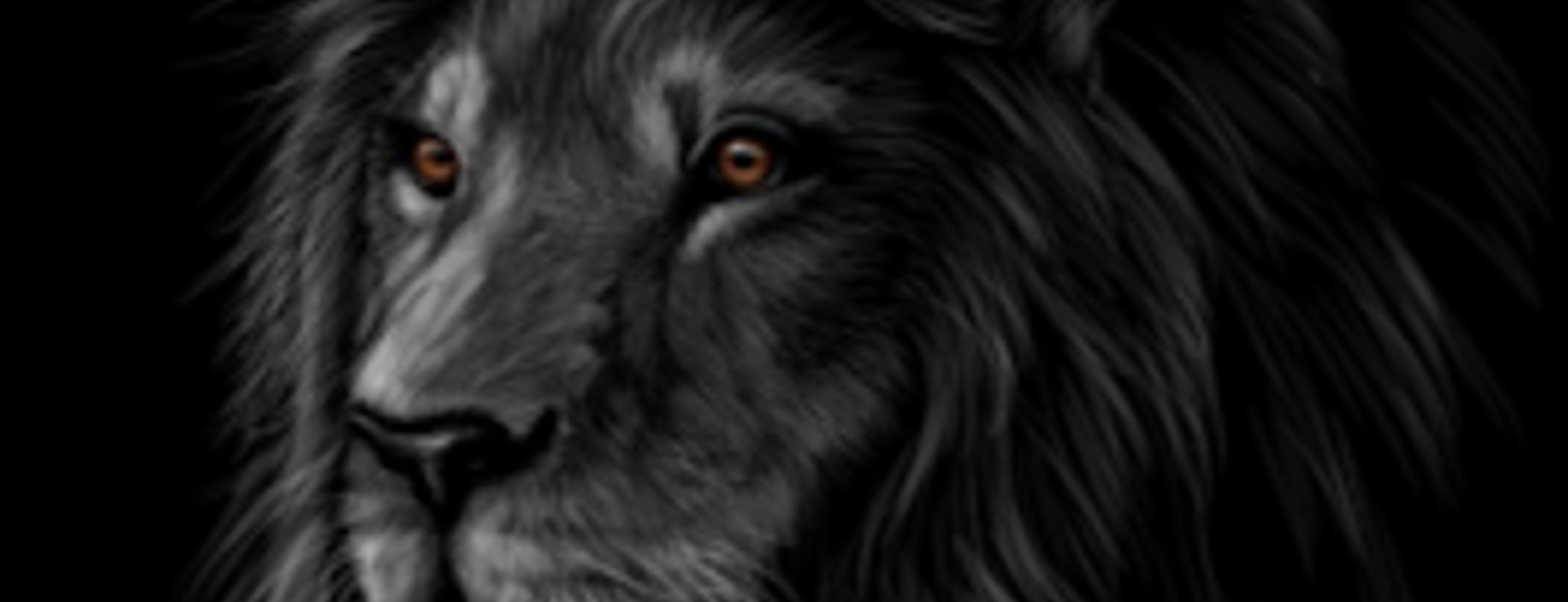 GF Publicidad - Imagen 1