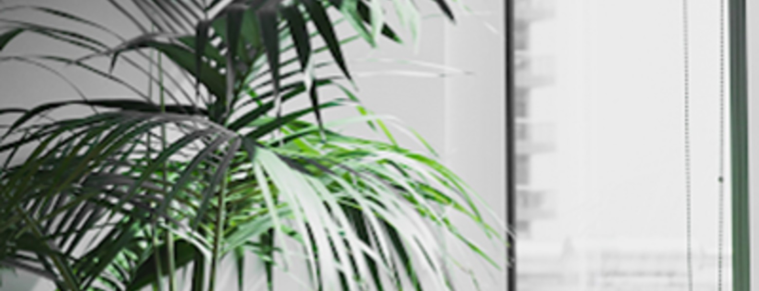 Foto de D&D Asesoría