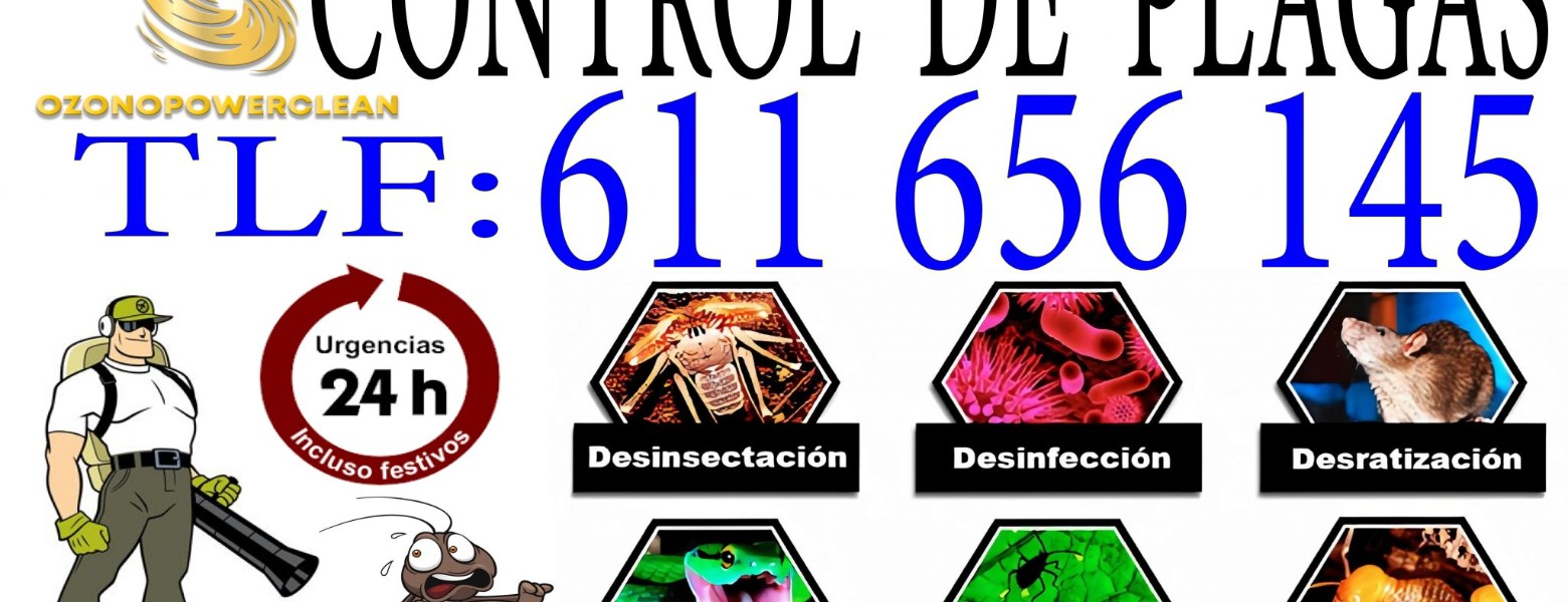 Foto de Fumigar-Plagas-Sevilla