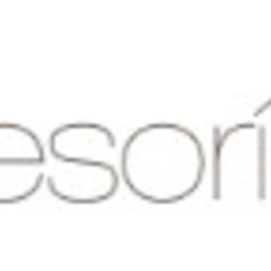 Logo de Asesoria Sur