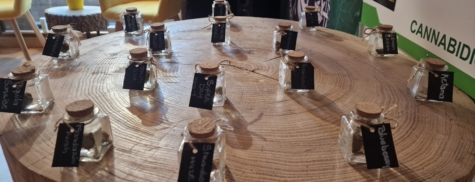 Foto de Sativa CBD Boutique en Ávila - Imagen 3