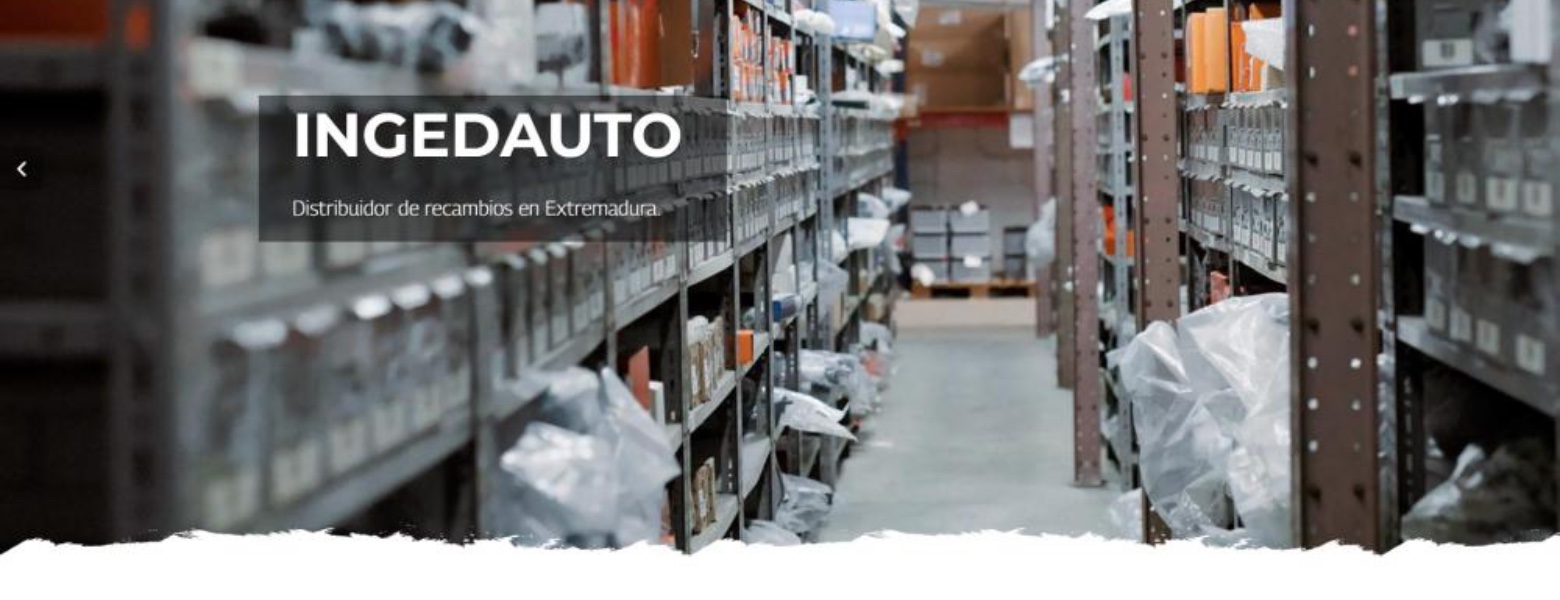 Foto de Ingedauto SL