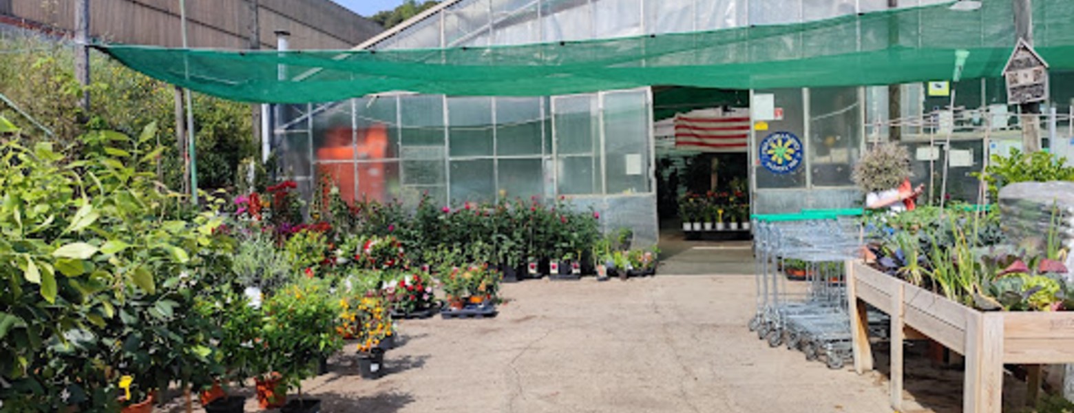 Foto de L'Hivernacle d'Horta