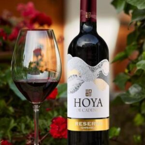 Foto de Finca hoya de cadenas en Utiel - Imagen 2