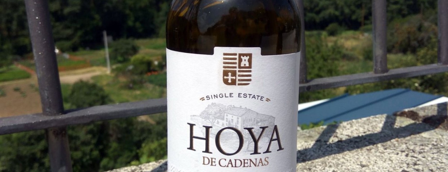 Foto de Bodega Hoya de Cadenas en Utiel - Imagen 1