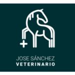 José Sánchez Veterinario Clínico Equino - Veterinario en Chiclana de la Frontera