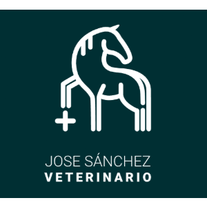 Logo de José Sánchez Veterinario Clínico Equino