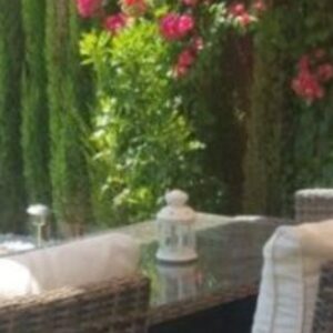 Foto de Musgo Jardines Verticales en Camas - Imagen 1