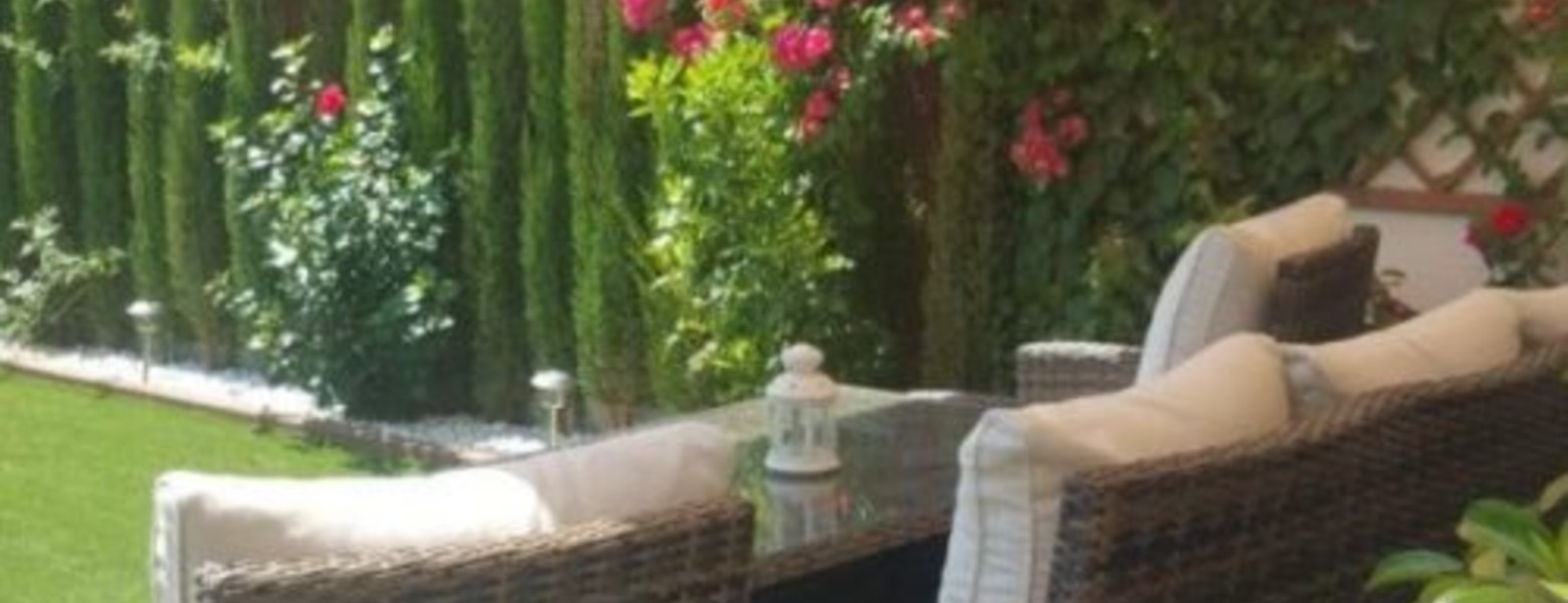 Foto de Musgo Jardines Verticales