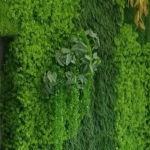 Foto de Musgo Jardines Verticales en Camas - Imagen 2
