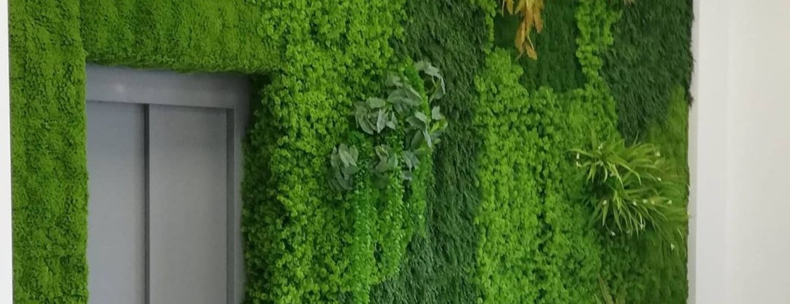 Foto de Musgo Jardines Verticales en Camas - Imagen 1