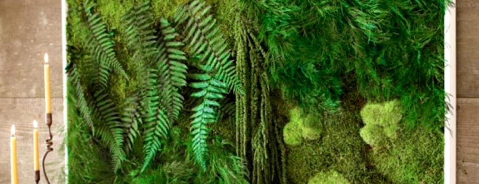 Foto de Musgo Jardines Verticales en Camas - Imagen 2