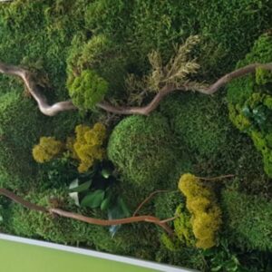 Foto de Musgo Jardines Verticales en Camas - Imagen 4