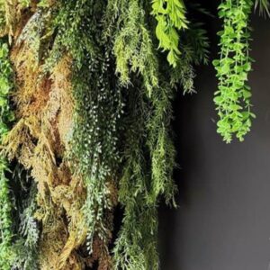 Foto de Musgo Jardines Verticales en Camas - Imagen 5