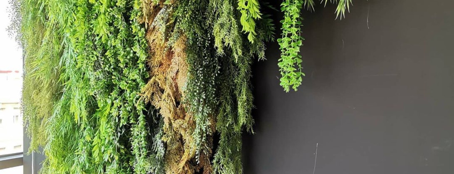 Foto de Musgo Jardines Verticales en Camas - Imagen 4