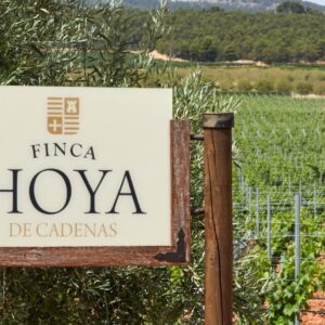 Foto de Finca hoya de cadenas en Utiel - Imagen 5