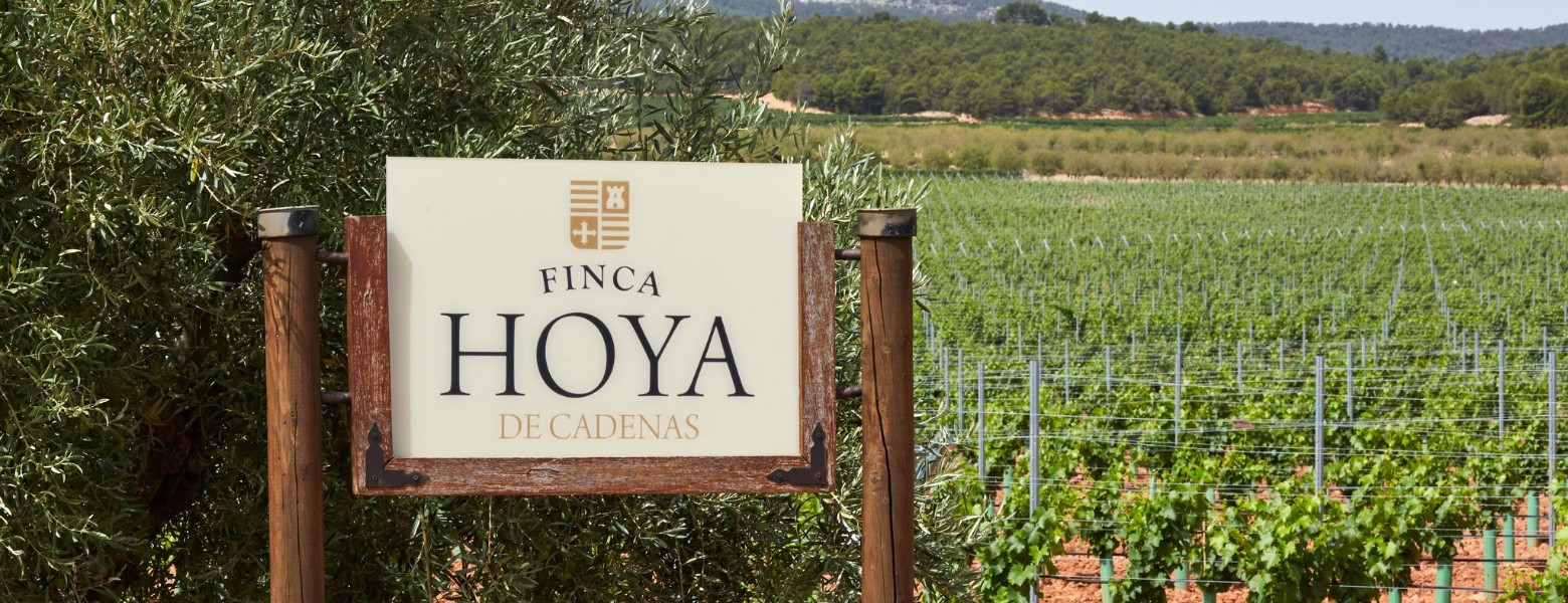 Foto de Finca hoya de cadenas en Utiel - Imagen 4