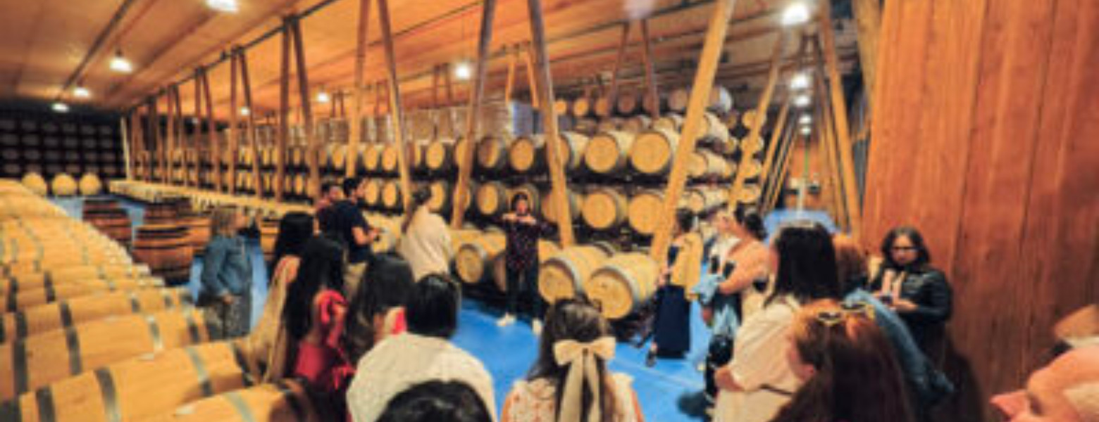 Foto de GOURMET MADRID TOURS Y EVENTOS S.L. en Madrid - Imagen 2