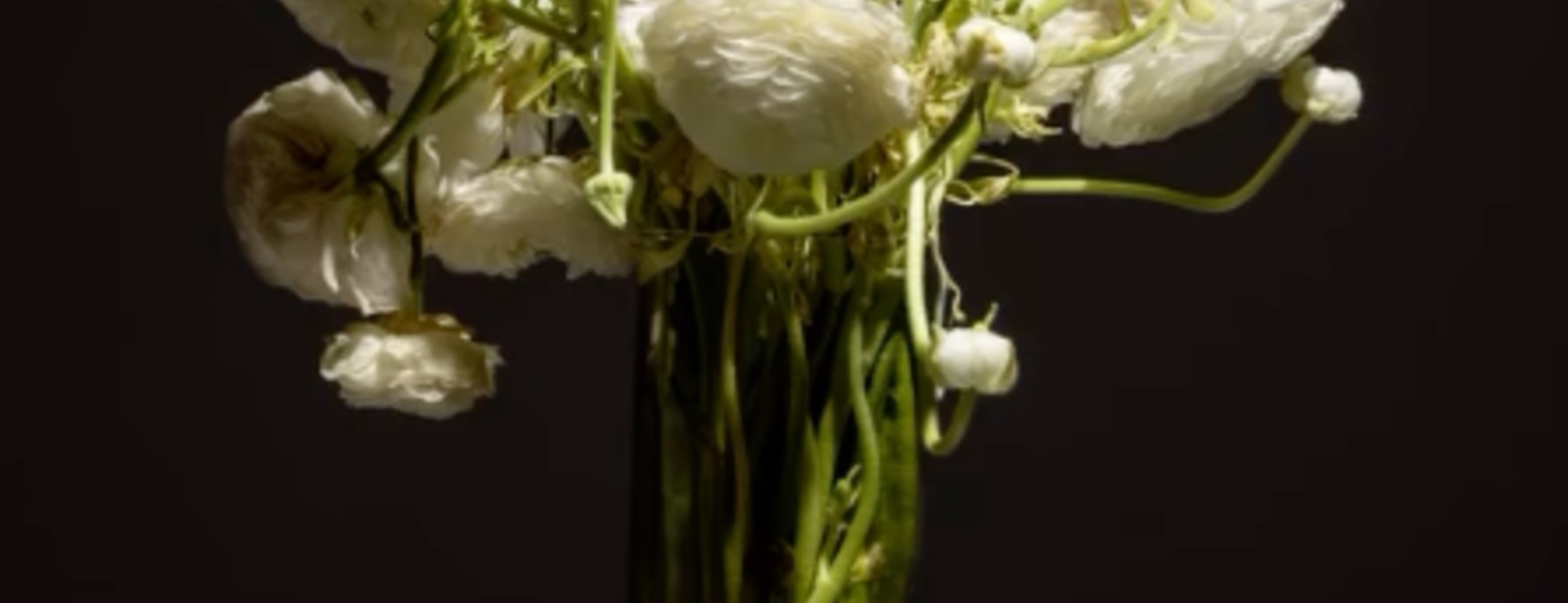 Foto de CoppelAnd - Visual & Creative Direction en Madrid - Imagen 4