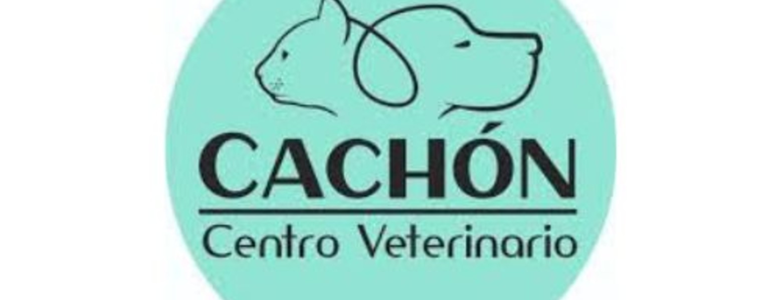 Foto de Centro Veterinario Cachón en León - Imagen 1