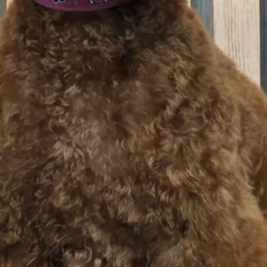 Foto de Nutrimascota | Peluquería Canina Y Tienda De Mascotas Cordoba en Córdoba - Imagen 1