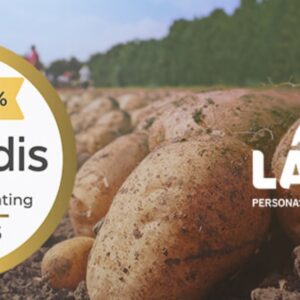 Foto de Patatas Lazaro en Puçol - Imagen 3