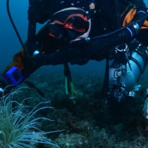 Foto de Different Scuba School en Almuñécar - Imagen 6