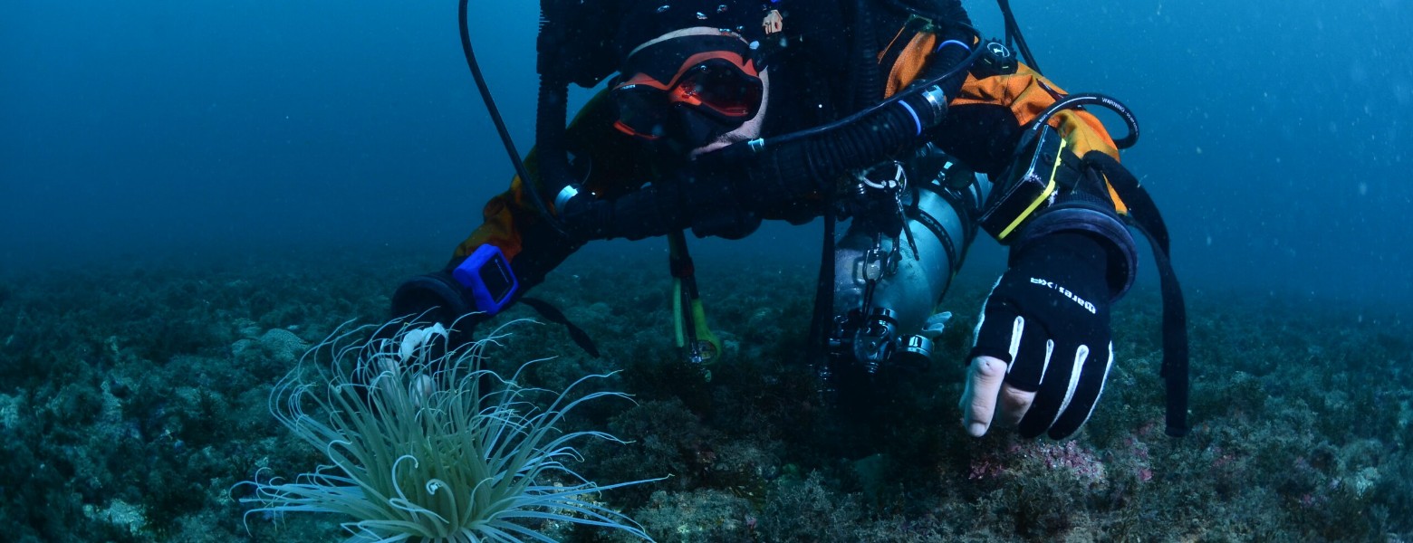 Foto de Different Scuba School en Almuñécar - Imagen 6