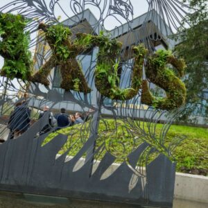 Foto de Taxus Medio Ambiente S.L. en Oviedo - Imagen 5