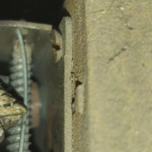 Foto de PERSERVI reparación de persianas Leganés en Leganés - Imagen 5