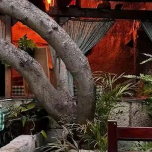 Foto de Guachinche Romance en Santa Cruz de Tenerife - Imagen 5