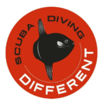 Different Scuba School - Buceo en Almuñécar