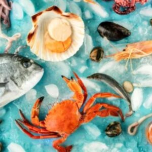 Foto de Pescados cervera en Motilla del Palancar - Imagen 5