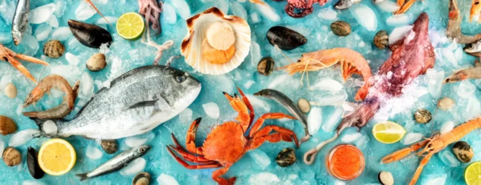 Foto de Pescados cervera en Motilla del Palancar - Imagen 4