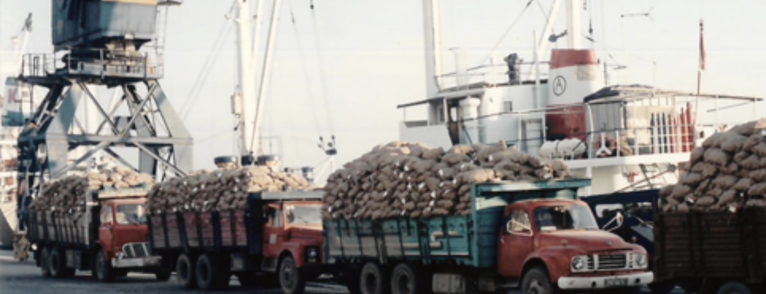 Foto de Patatas Lazaro en Puçol - Imagen 1