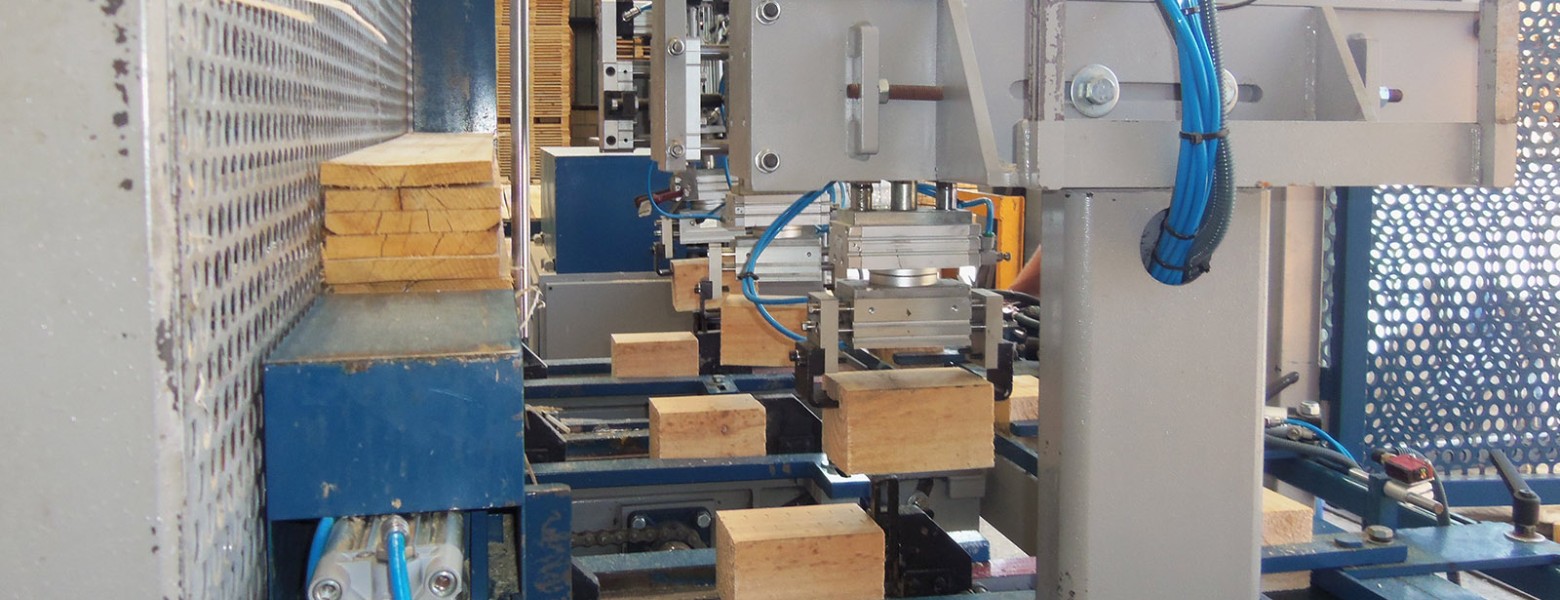 Foto de Maderas Orue. Fabricantes de palets de madera en Zeberio - Imagen 4
