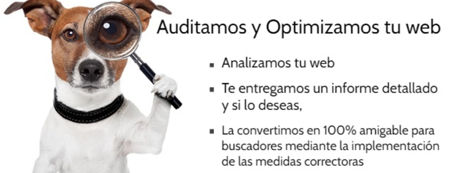 Foto de Imagina Web s.l. en Cunit - Imagen 2