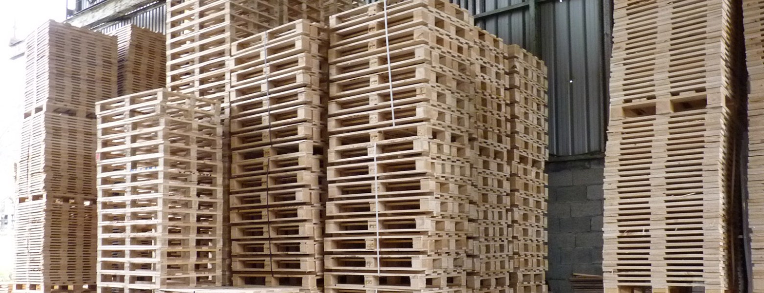 Foto de Maderas Orue. Fabricantes de palets de madera en Zeberio - Imagen 2